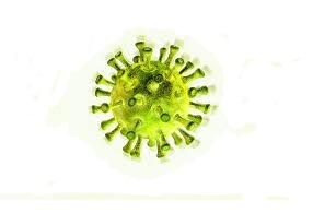 corona-virus corona-virus
